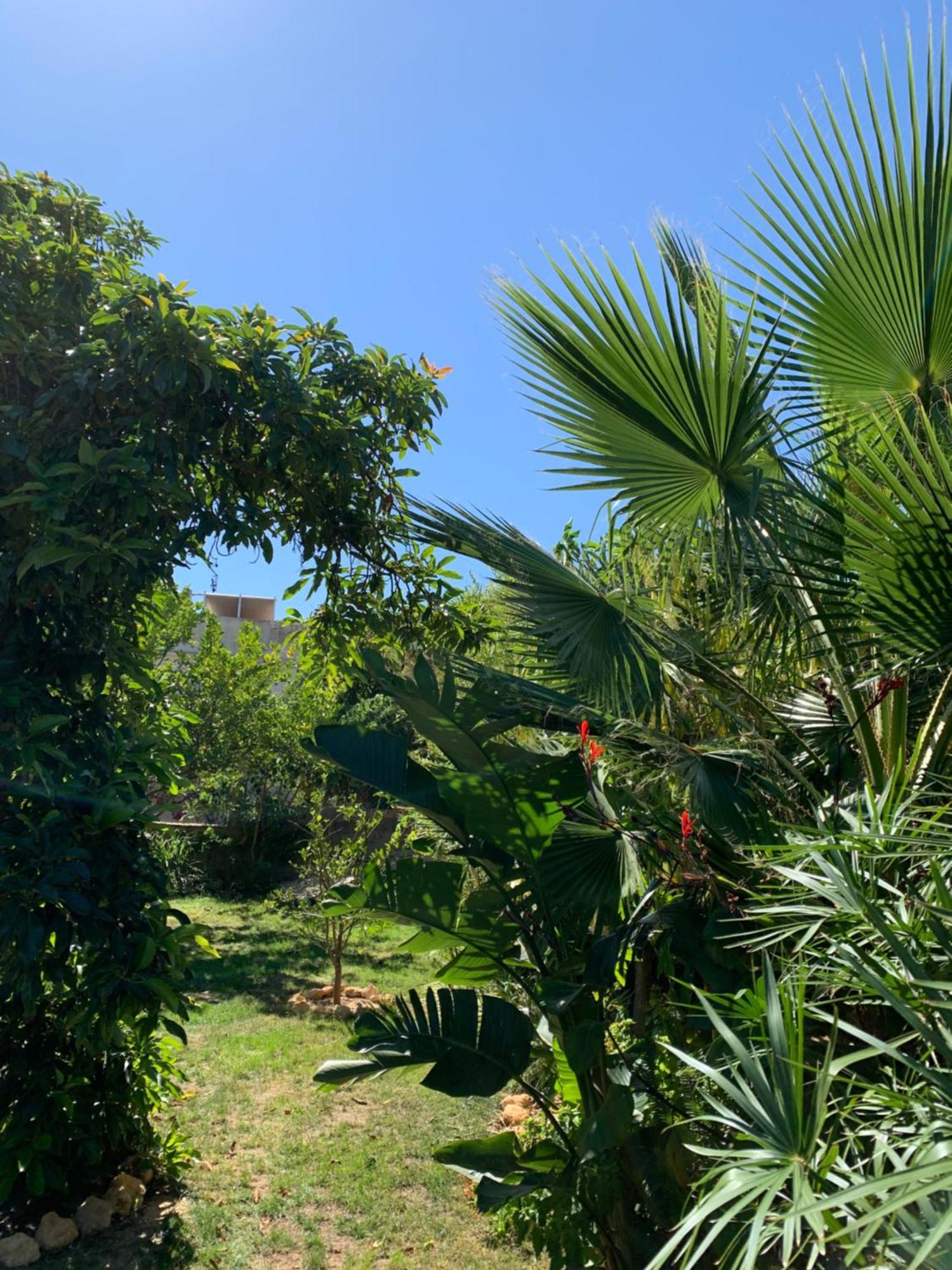 A Tranquil Garden Apartment, Carvoeiro - Benagil מראה חיצוני תמונה